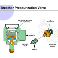 November 2025 Edition