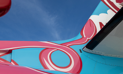 A pig tail on the tail of the Ripley's Believe It or Not! Citation by Duncan Aviation