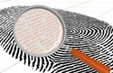 Dirty Fingerprint: How Detailed Logbook Entries Benefit Your Aircraft