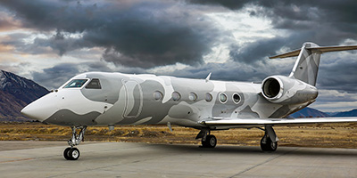 G450-paint.jpg