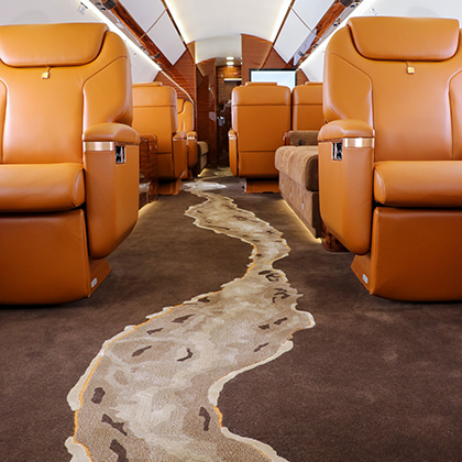 Interior with custom river carpet